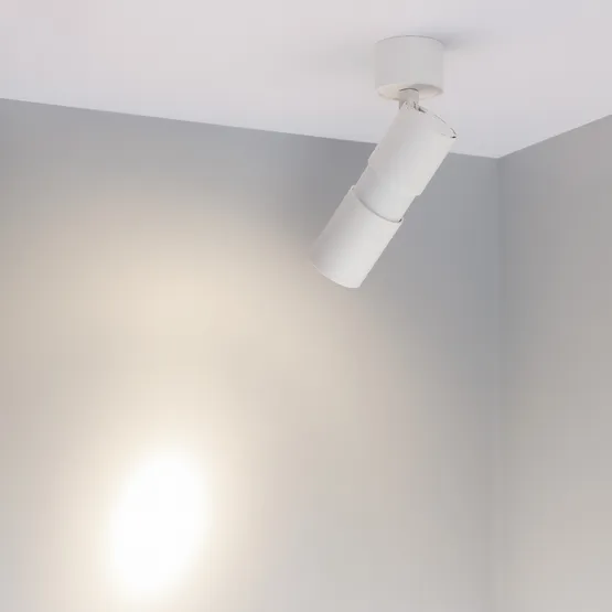 Фото #2 товара Светильник SP-ARTEMIS-SURFACE-FLAP-R55-12W Day4000 (WH, 8-80 deg, 230V) (Arlight, IP20 Металл, 5 лет)