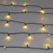 Минифото #2 товара Светодиодная гирлянда Нить Смарт ARD-MOOD-CLASSIC-10000-BLACK-100LED Warm (230V, 3W, Tuya Wi-Fi) (Ardecoled, IP65)