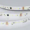 Минифото #2 товара Светодиодная лента DMX-A96-12mm 24V Warm3000-PX12 (14 W/m, IP20, 5m) (Arlight, -)